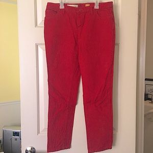 Anthropologie Pilcro and the Letter Press Jeans